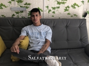 Salvatredelrey