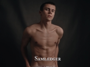 Samledger