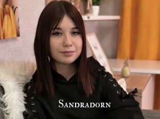 sandradorn cams