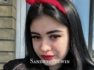 sandragoodwin cams