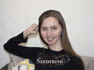 Sandybush