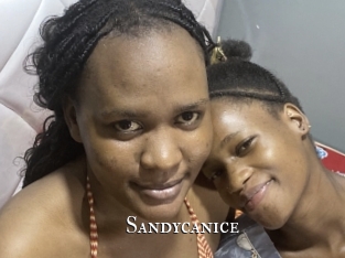 Sandycanice