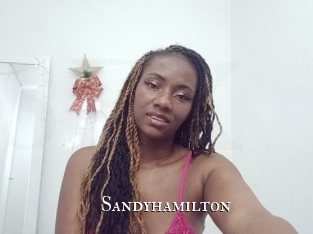sandyhamilton cams