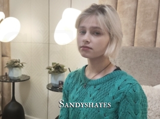 Sandyshayes