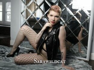 Sarawildcat