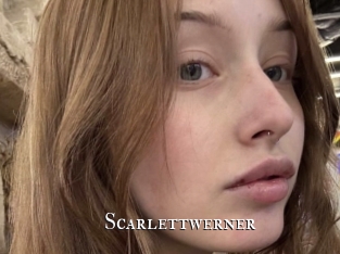 Scarlettwerner