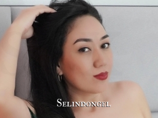 Selindongel