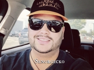 Senorgecko