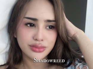 Shadowreed