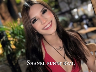 Shanel_bunny_real
