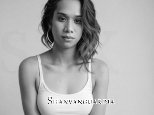 shanvanguardia cams