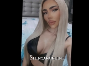 shinyangeline cams