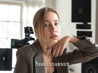 sibleygarney cams