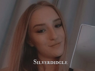 Silverdidgle