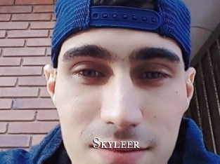 Skyleer