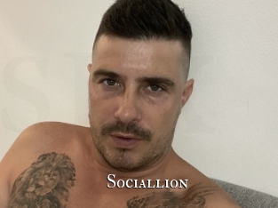 Sociallion