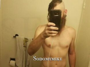 Sodomymike