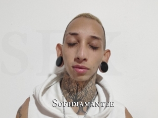 sofidiamantee cams