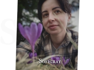 Sofi_gray
