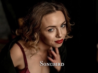 songbird cams