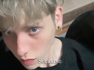 Sourking