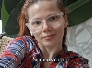 Spicebancock
