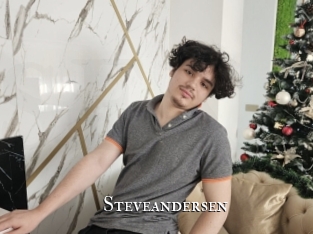 steveandersen cams