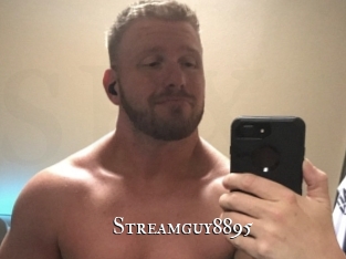 Streamguy8895