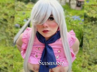 suimisanz cams