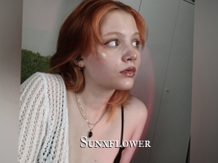 sunxflower cams