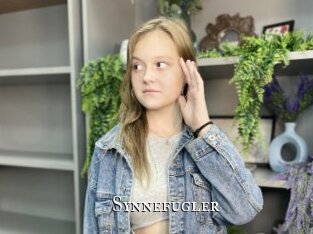 Synnefugler