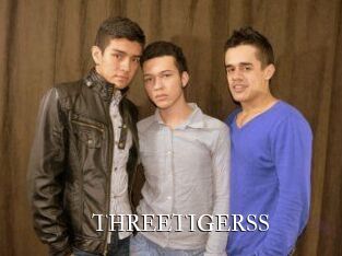 THREETIGERSS cams