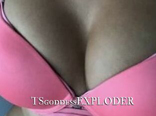 TSgoddessEXPLODER cams