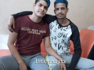Tegusta29xx
