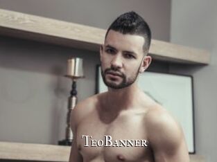 TeoBanner