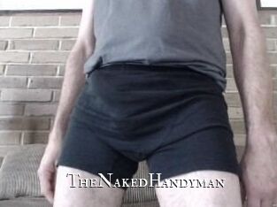 TheNakedHandyman