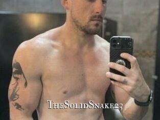 TheSolidSnake23 cams