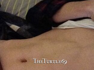 TheTurtle69