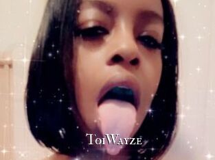 ToiWayze