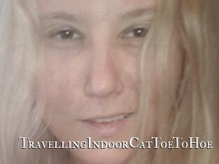 TravellingIndoorCatToeToHoe