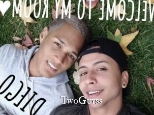 TwoGuyss