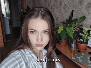 taiteelin cams