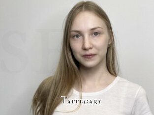 taitegary cams