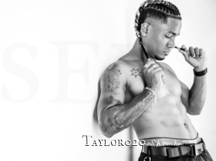 taylor020 cams