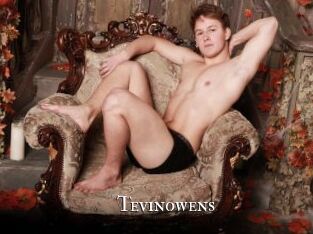 Tevinowens