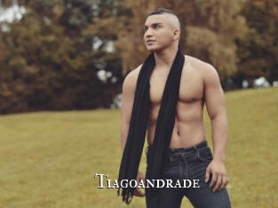 tiagoandrade cams