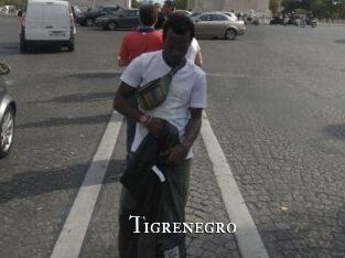 Tigrenegro