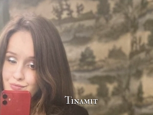 Tinamit