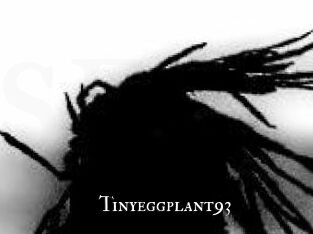 Tinyeggplant93