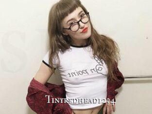Tinyredhead1234